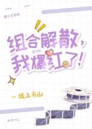 组合解散，我爆红了！封面