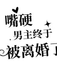 嘴硬男主终于被离婚了封面