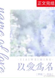 以爱为名封面