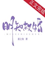 明知故婚封面