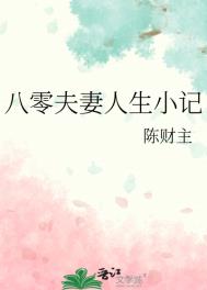 八零夫妻人生小记封面