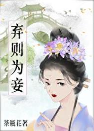 弃则为妾封面