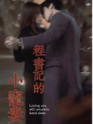 程书记的小宠妻封面