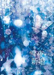 雪夜新婚封面