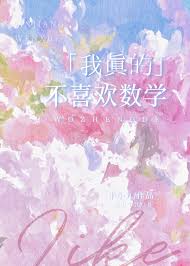 我真的不喜欢数学封面