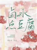 卤水点豆腐封面