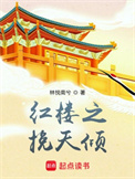 红楼之挽天倾封面