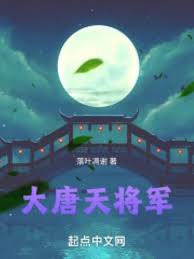 大唐天将军封面