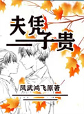 夫凭子贵封面