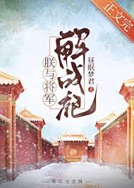 朕与将军解战袍封面