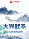大宣武圣封面