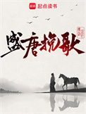 盛唐挽歌封面