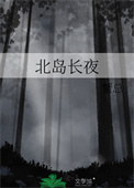 北岛长夜封面