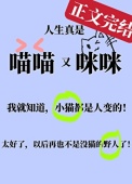 小猫咪变成人类幼崽后封面