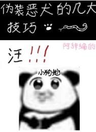 伪装恶犬的几大技巧封面