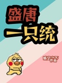 盛唐一只统封面