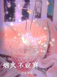 烟火不寂寞封面