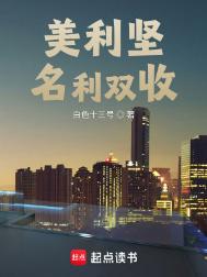 美利坚名利双收封面