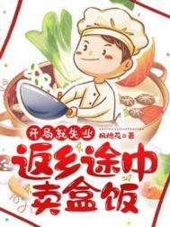 开局就失业：返乡途中卖盒封面