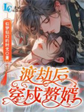 渡劫后穿成赘婿封面