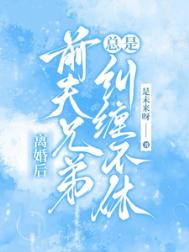 离婚后，前夫兄弟总是纠缠不休封面