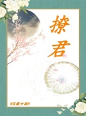 撩君封面