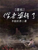 道长，你老婆掉了封面
