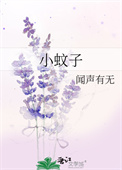 小蚊子封面