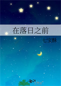 在落日之前封面