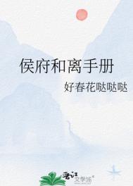 侯府和离手册封面