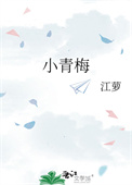 小青梅封面