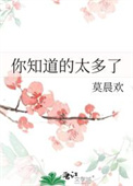 你知道的太多了封面