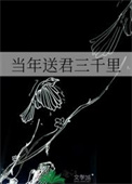 当年送君三千里封面