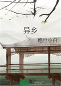 异乡封面