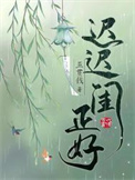 迟迟闺正好封面