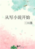 从写小说开始封面