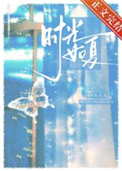 时光如夏[先婚后爱]封面