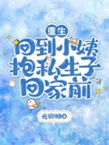 重生，回到小姨抱私生子回家前封面
