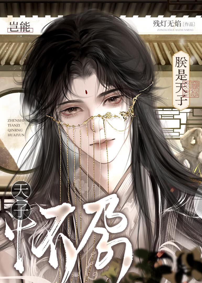 朕是天子岂能怀孕！封面