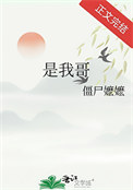 是我哥封面