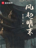 风起明末封面