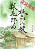 探花郎的极品二嫂封面