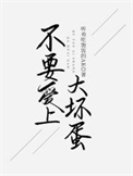 不要爱上大坏蛋封面