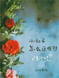寡嫂为妻封面