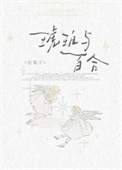 琥珀与百合封面