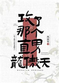 攻了那个直男龙傲天封面