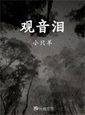 观音泪封面