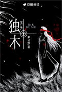 独木封面