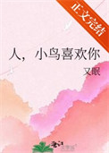 人，小鸟喜欢你封面
