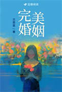 完美婚姻封面